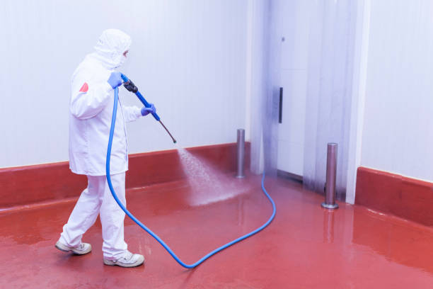Best Building Exterior Washing  in St Georges, DE